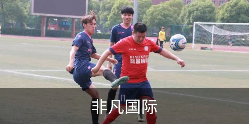 企业简介
